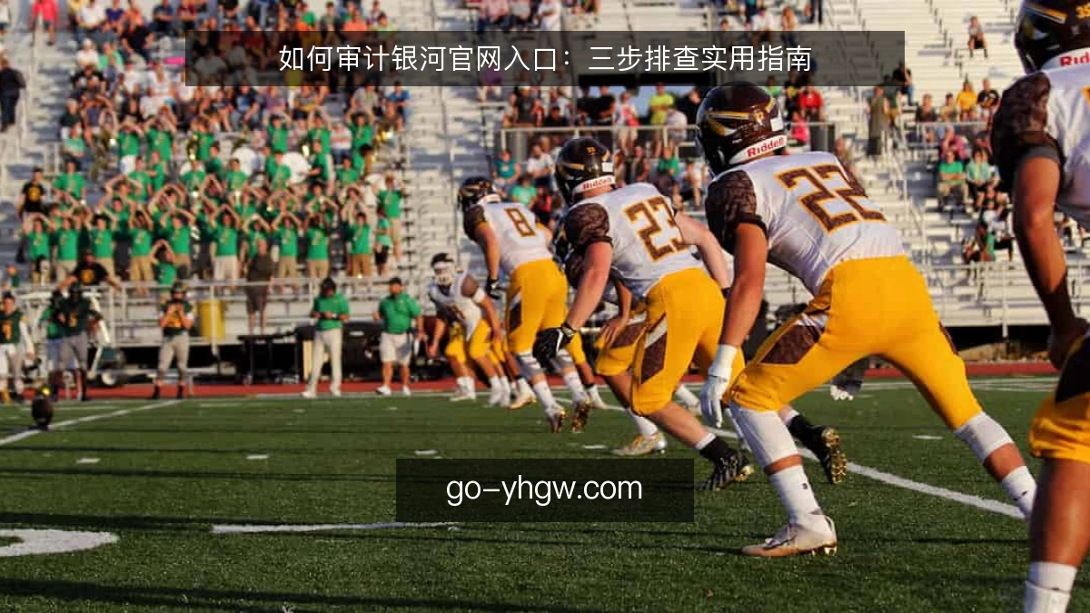 如何审计银河官网入口：三步排查实用指南