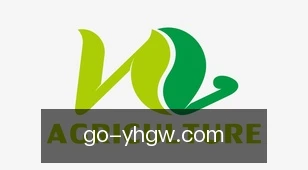 银河官网